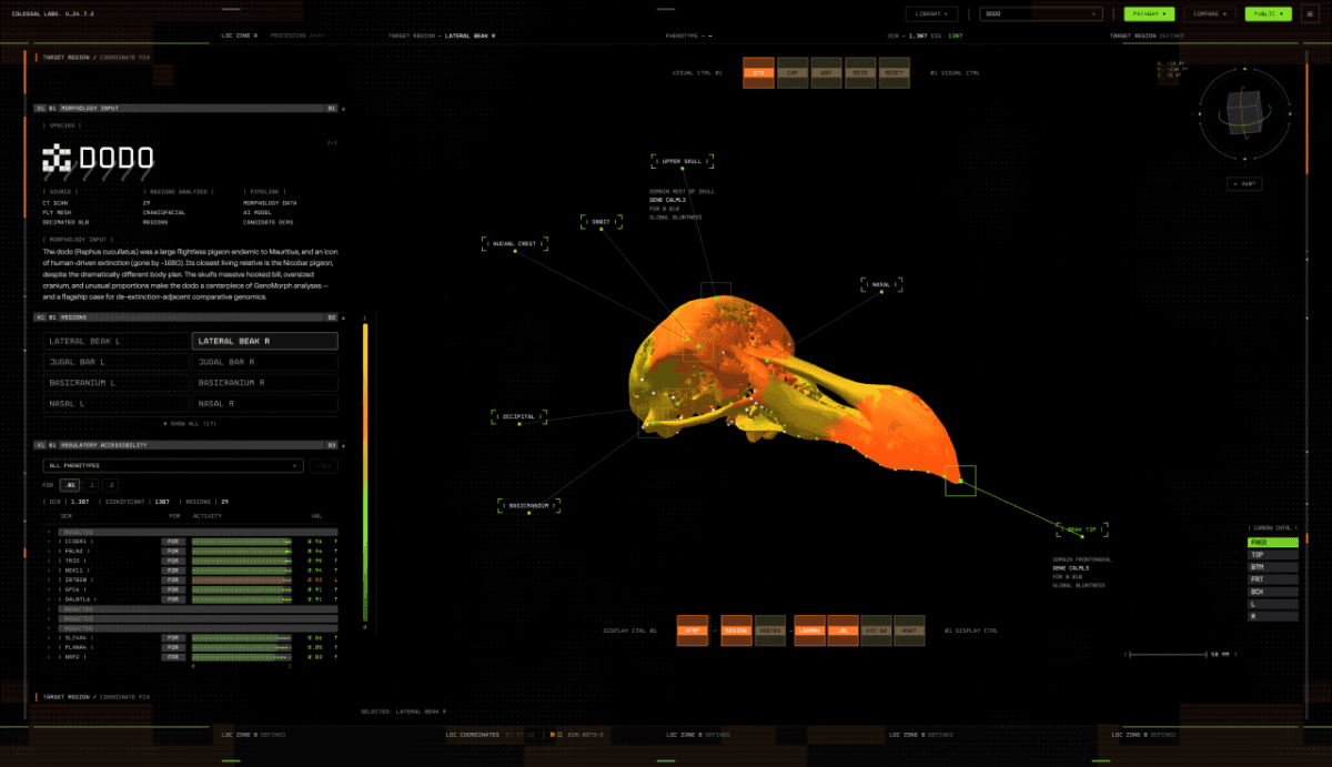 Colossal Biosciences announces new AI platform to help accelerate de-extinction efforts | TechCrunch